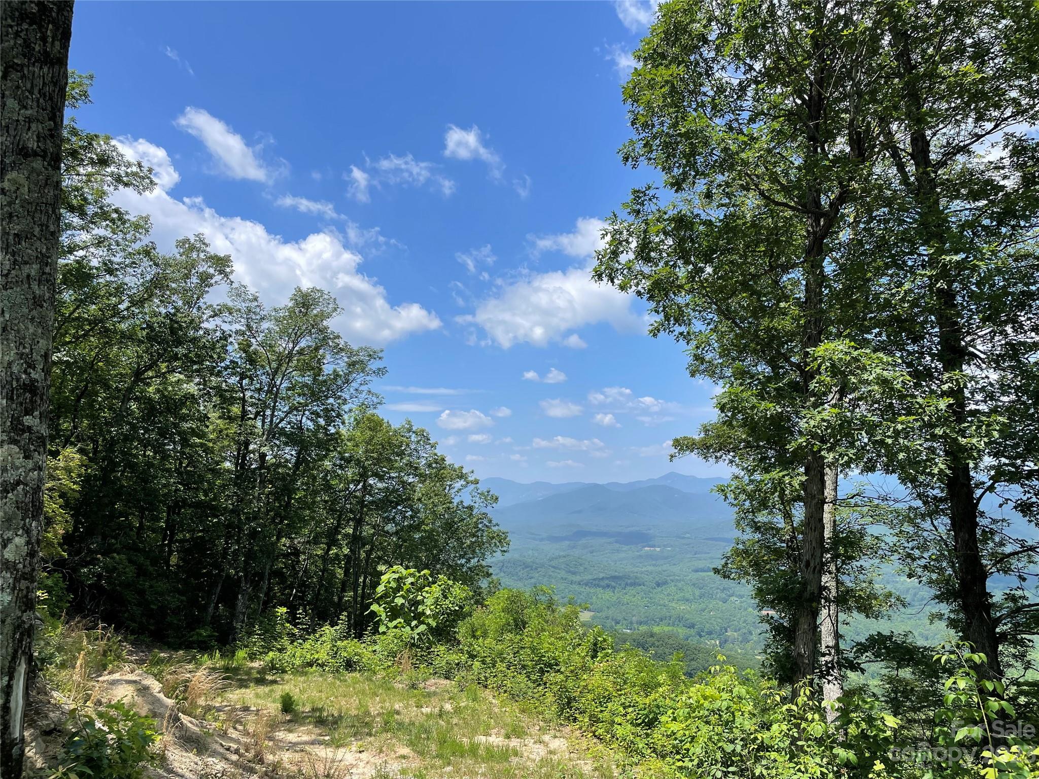 94 Devin Rdg Lane Union Mills, NC 28167 - Photo 20 of 28 a view of a yard