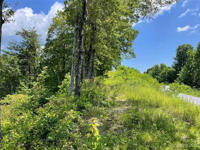 a view of a yard with an trees