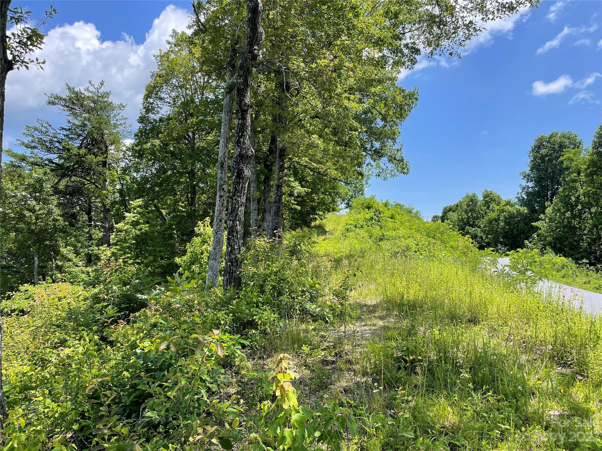 94 Devin Rdg Lane Union Mills, NC 28167 - Photo 26 of 28 a view of a garden