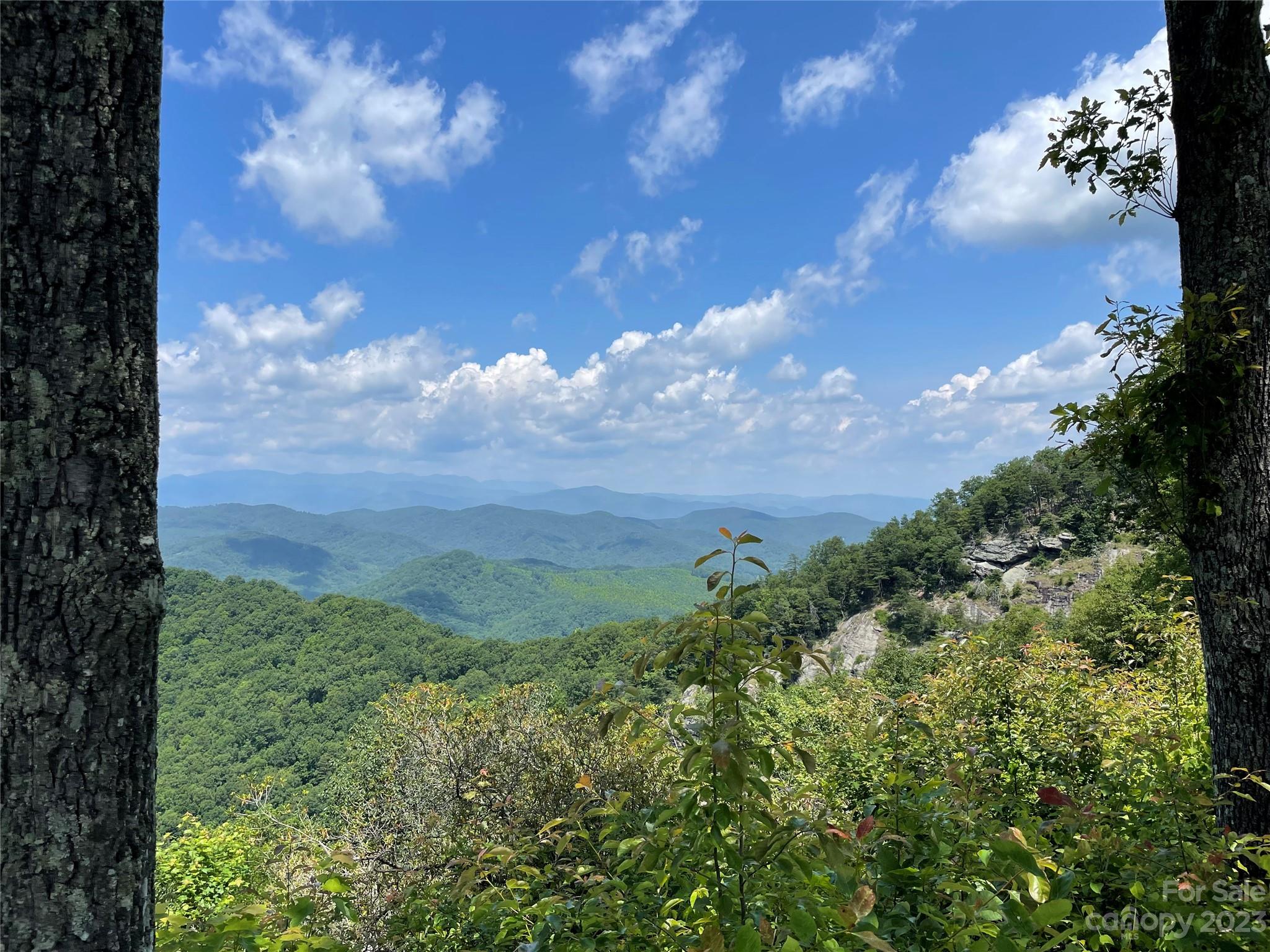 94 Devin Rdg Lane Union Mills, NC 28167 - Photo 27 of 28 a view of a yard with an trees