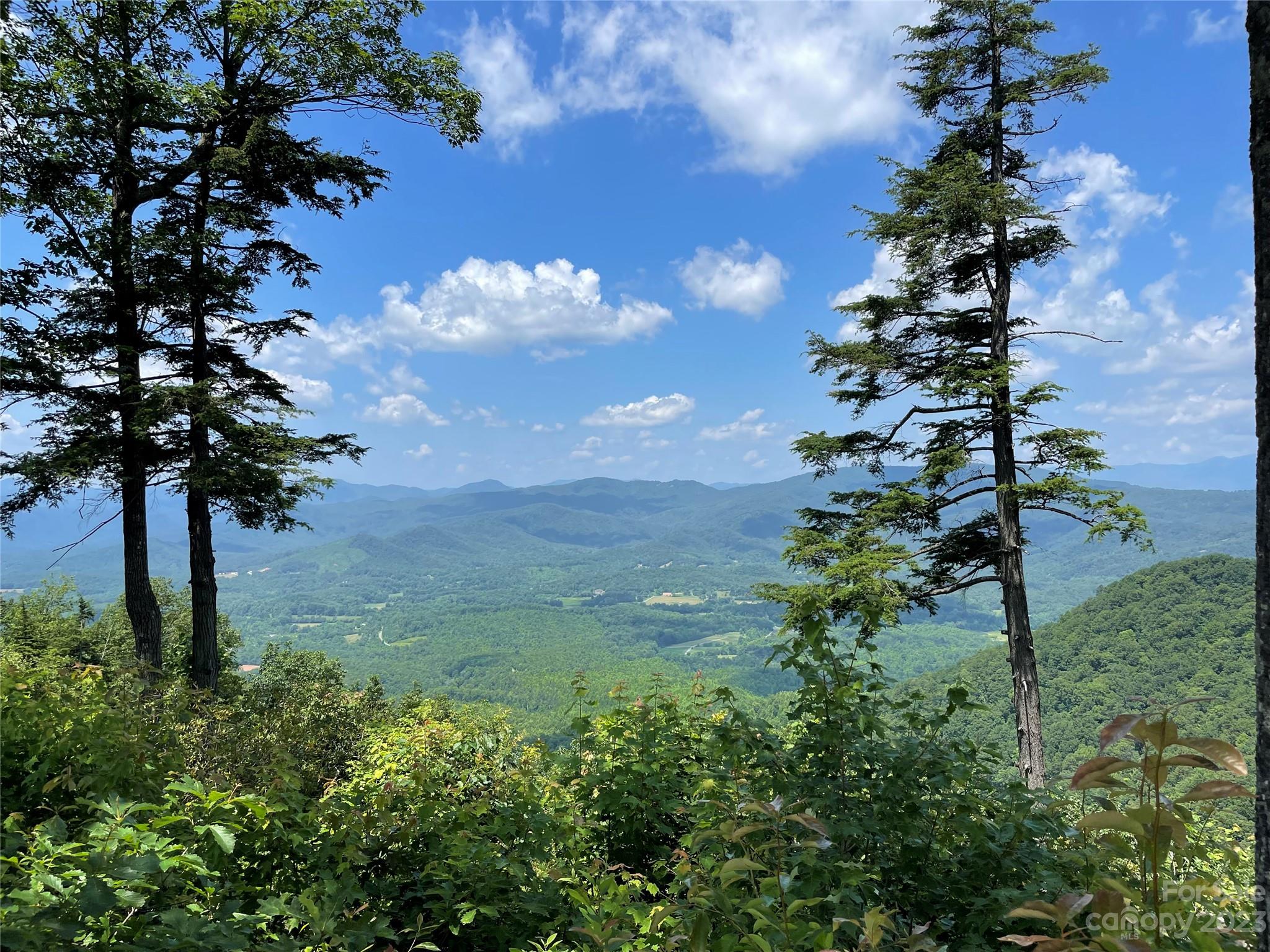 94 Devin Rdg Lane Union Mills, NC 28167 - Photo 28 of 28 a view of a garden