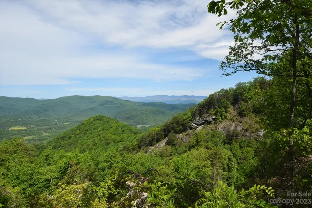 a view of a lush green forest with lots of trees