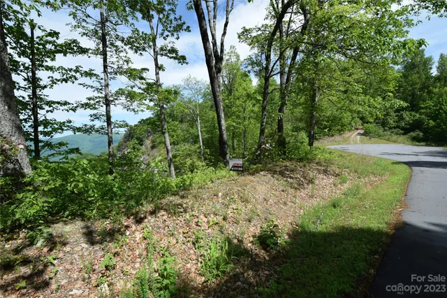 a view of a yard with large trees