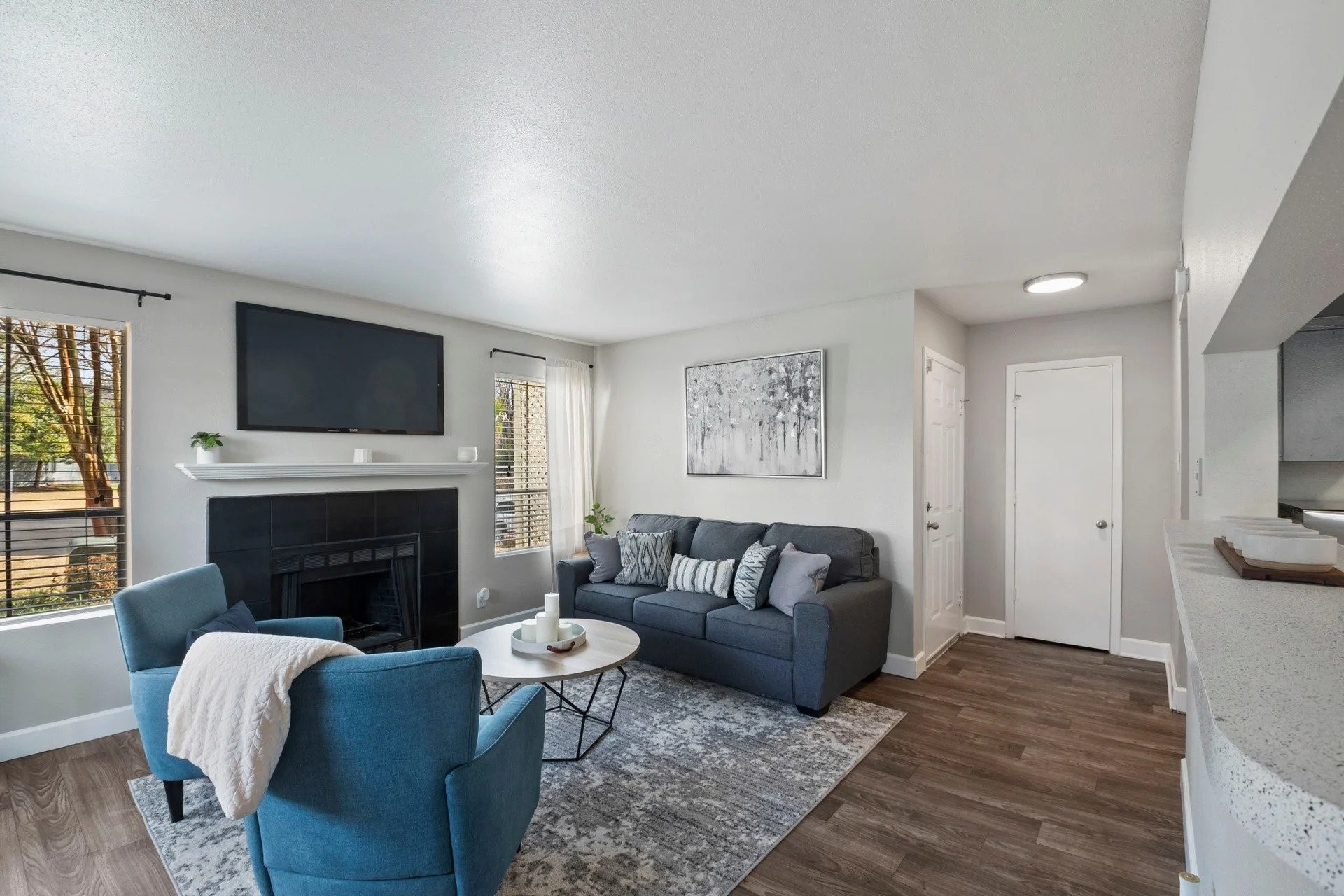 501 Pelham Drive Columbia, SC 29209 - Photo 20 of 23 a living room with furniture a flat screen tv and a fireplace