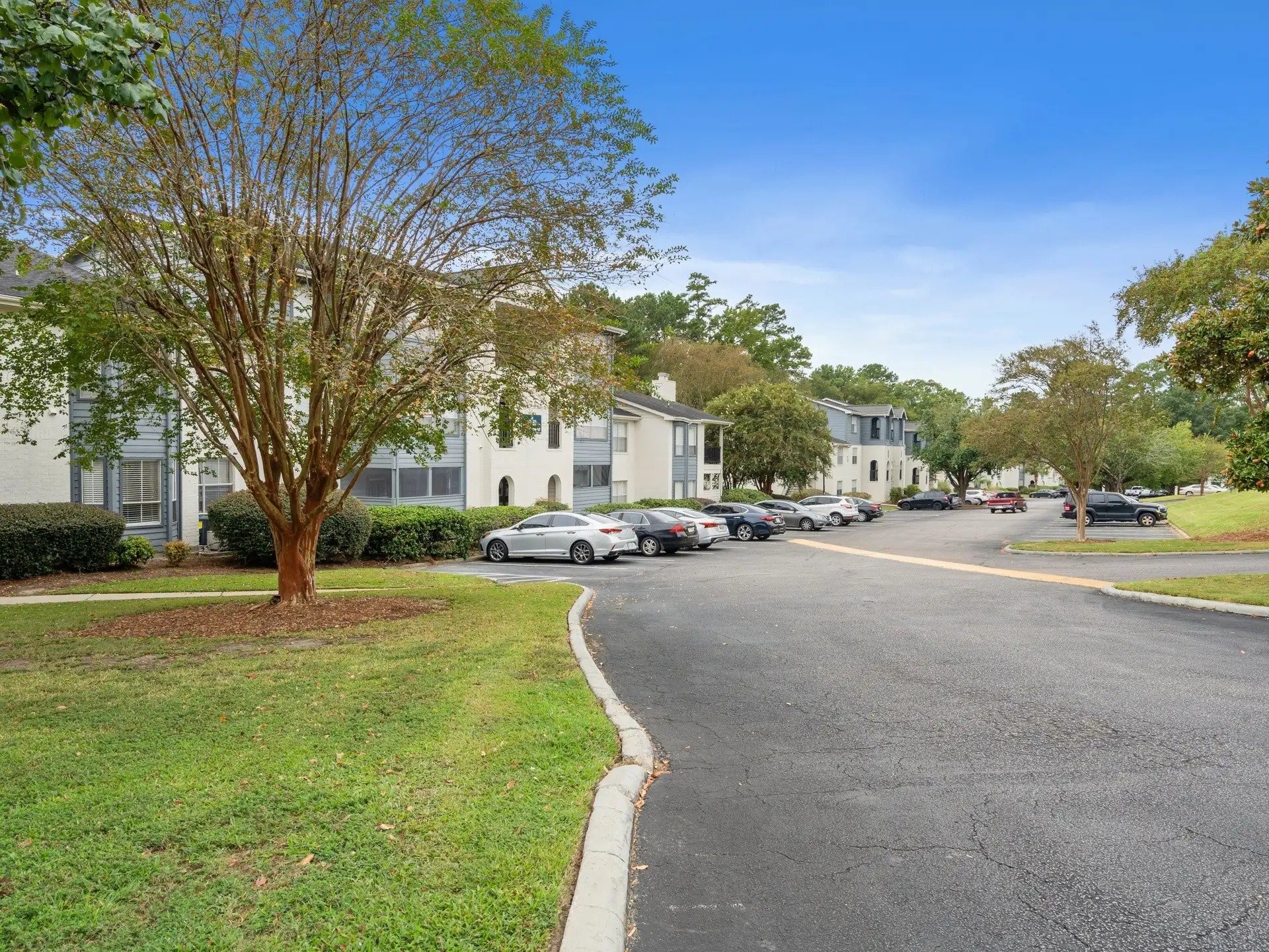 501 Pelham Drive Columbia, SC 29209 - Photo 5 of 23 a view of a street with houses