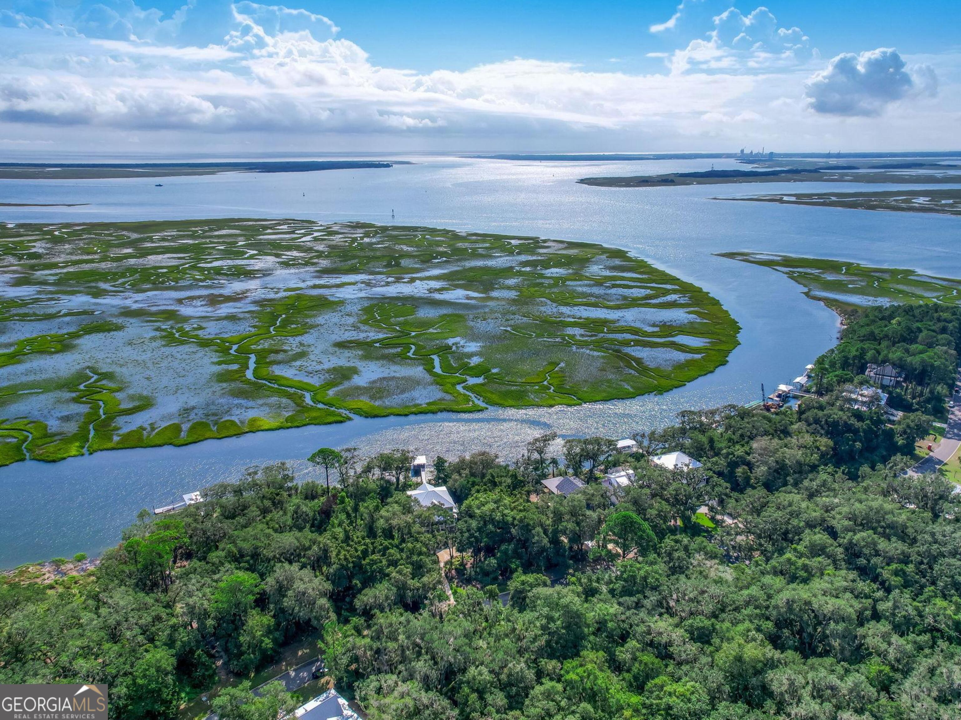 V/l 1028 Becket Road Kings Bay, GA 31558 - Photo 8 of 12 a view of a swimming pool with a yard