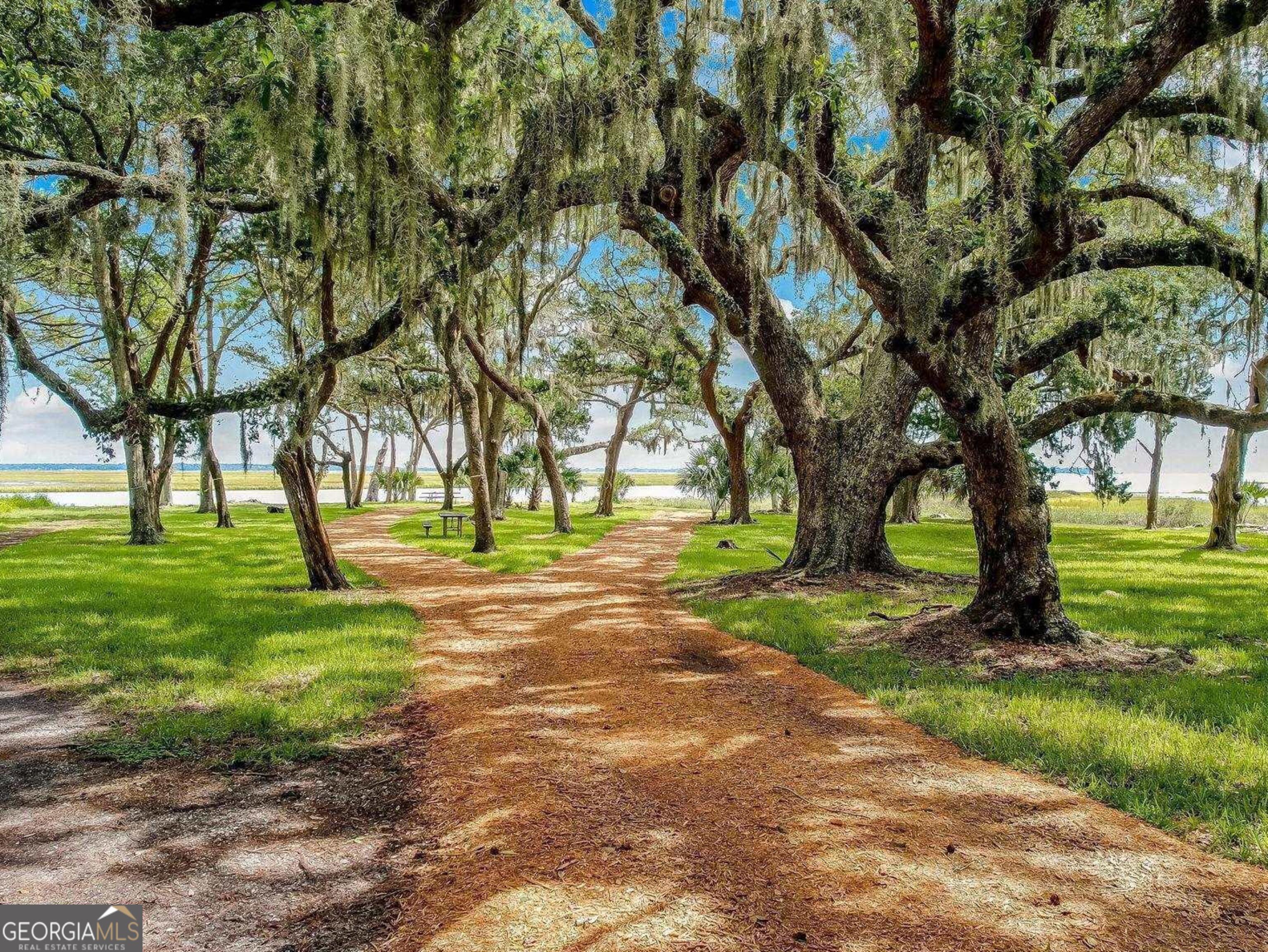 V/l 1028 Becket Road Kings Bay, GA 31558 - Photo 9 of 12 a view of yard with trees