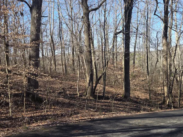 $55,000 | 0 Westwood Drive, Waverly, TN 37185