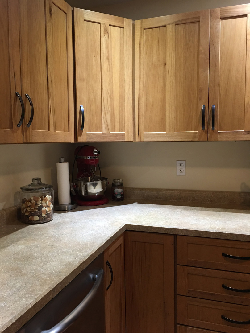 3060 North Leaf River Road Mount Morris, IL 61054 - Photo 3 of 7