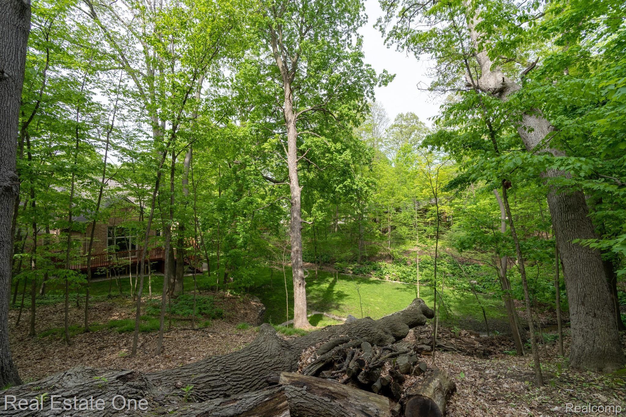 1403 Springwood Lane Rochester, MI 48309 - Photo 45 of 47 DSC06914-HDR.jpg