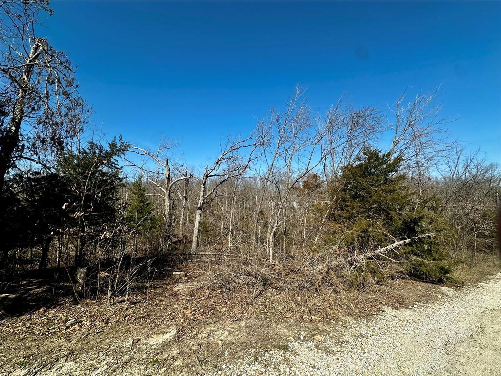 23867 Brennan Road Warsaw, MO 65355 - Photo 1 of 4