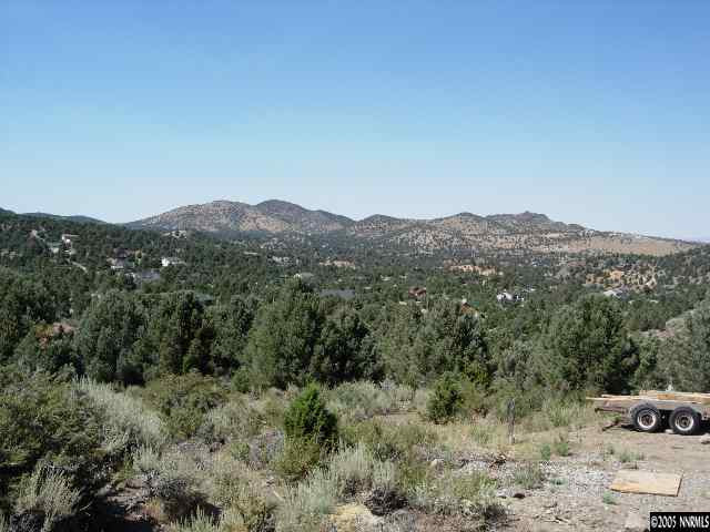 21910 Panhandle Road Reno, NV 89521 - Photo 1 of 2 a view of a mountain in the distance in a field