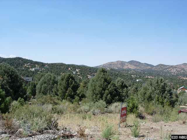 21910 Panhandle Road Reno, NV 89521 - Photo 2 of 2 a view of a mountain in the distance in a field