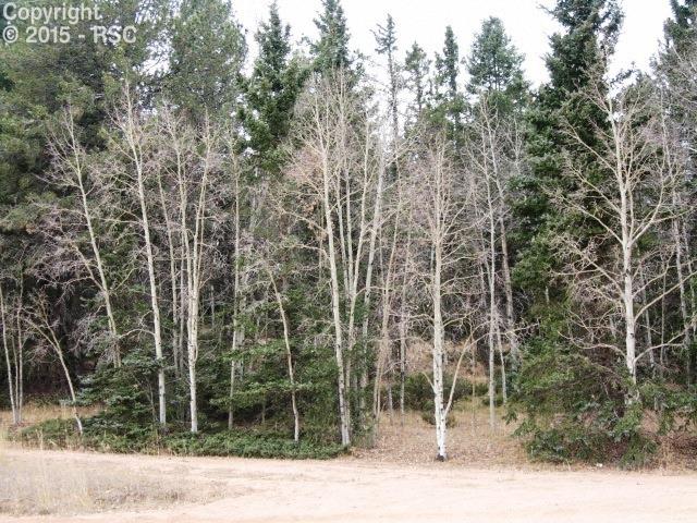 958 Kutsu Ridge Road Florissant, CO 80816 - Photo 11 of 11 Gallery Image 11