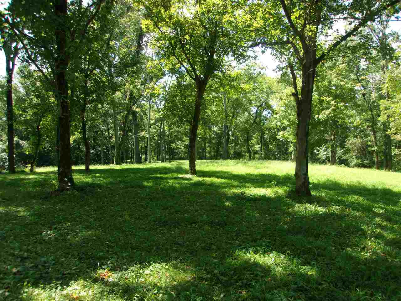 30-acres Dover Road Augusta, KY 41002 - Photo 4 of 50 Gallery Image 4