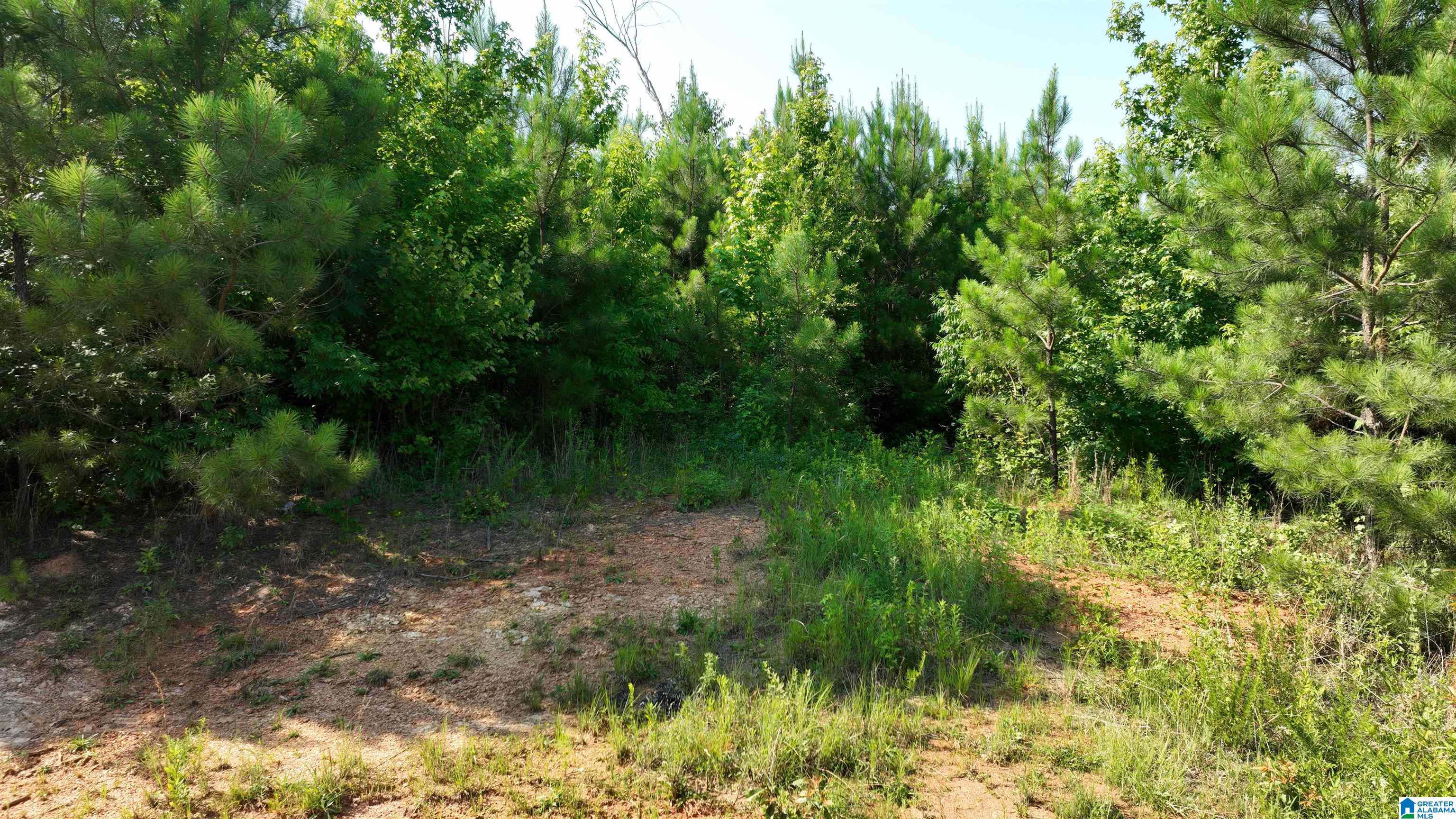 2 County Road 253, Unit 2 Clanton, AL 35046 - Photo 40 of 40