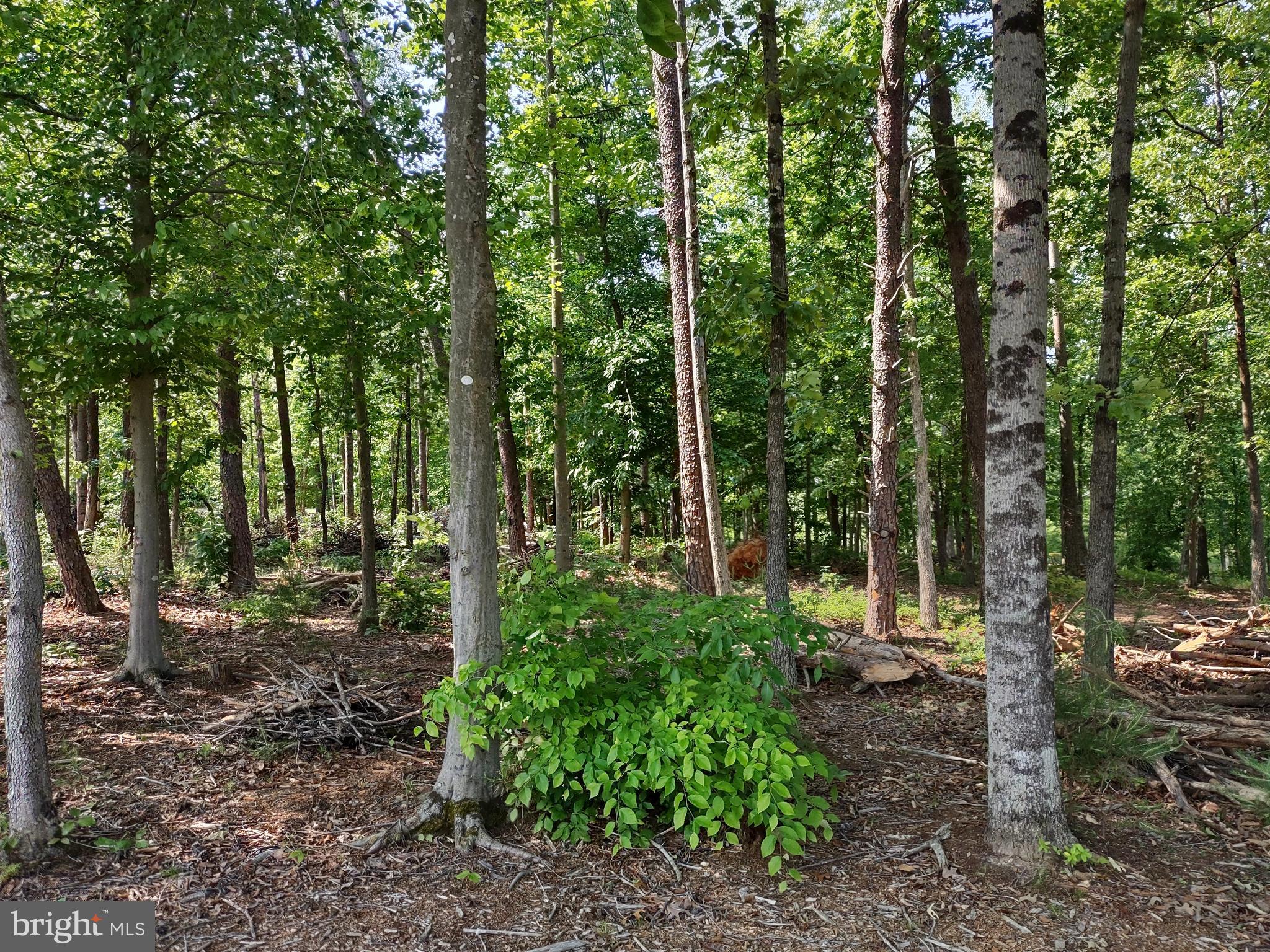 47 Sunset Loop Mineral, VA 23117 - Photo 1 of 28 Lot 47 Sunset Cove