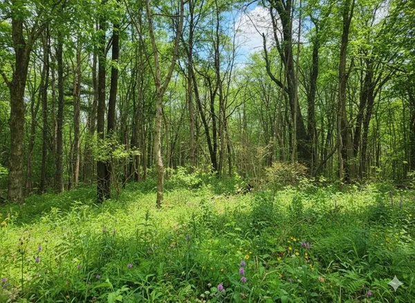 $35,000 | 1875 Pleasant Woods Circle, Carbondale, IL 62901