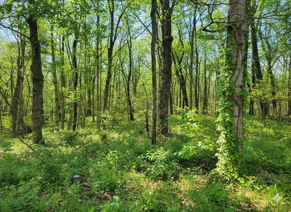 $35,000 | 1875 Pleasant Woods Circle, Carbondale, IL 62901