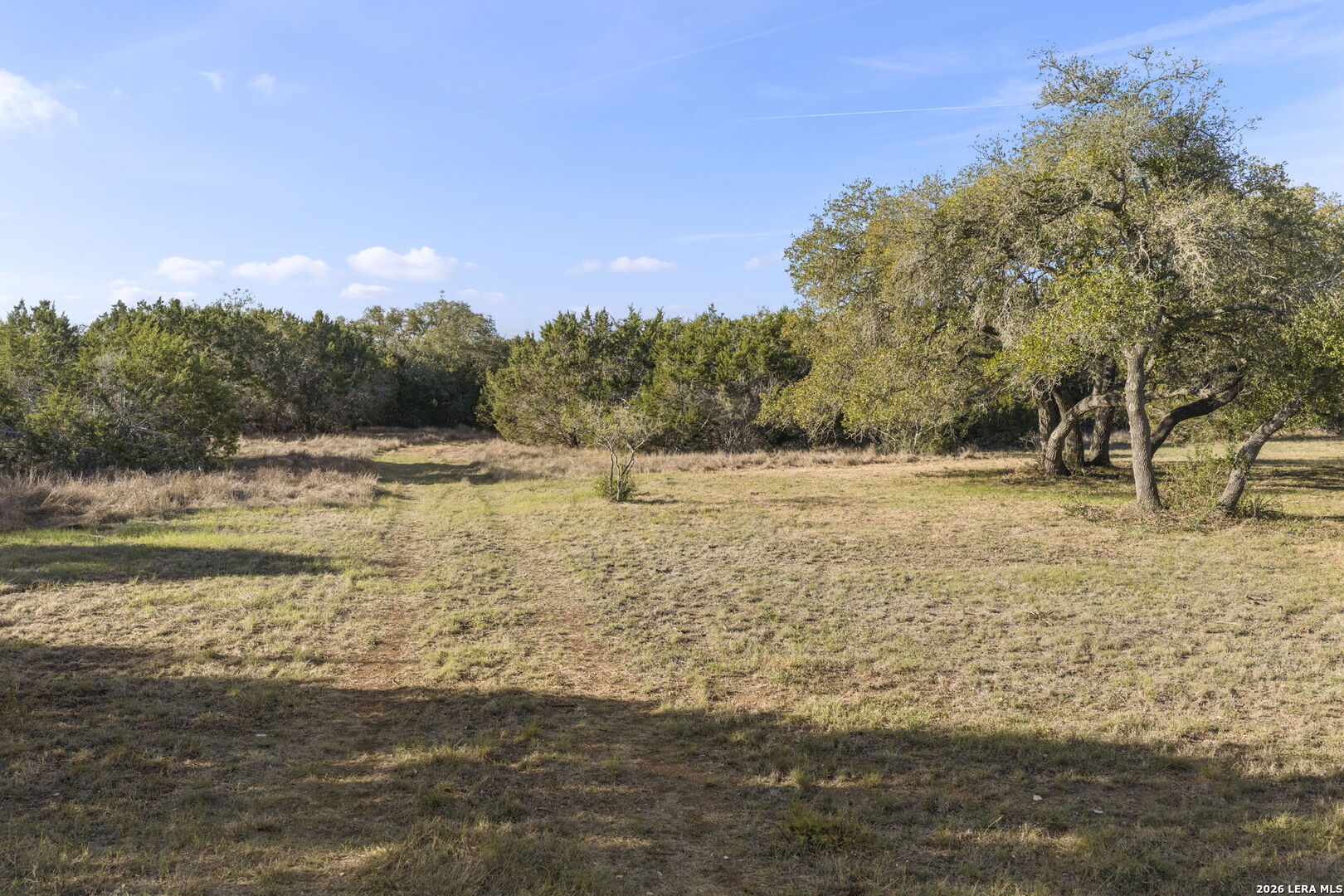 6093 Fm 311 Spring Branch Spring Branch, TX 78070 - Photo 41 of 46