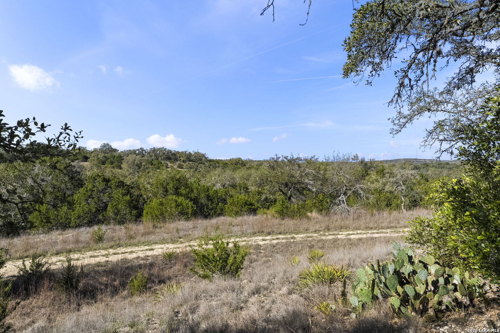 6093 Fm 311 Spring Branch, TX 78070 - Photo 43 of 47