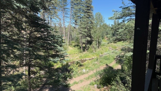9 Pond Road Sapello, NM 87745 - Photo 40 of 46