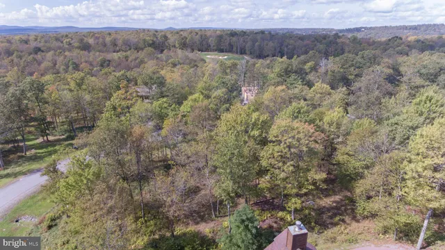 a view of a dry yard with green space