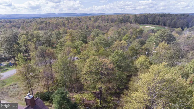 a view of mountain with trees