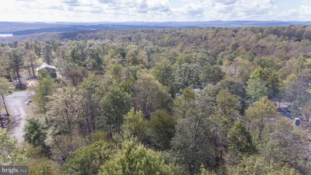 a view of a yard with large trees