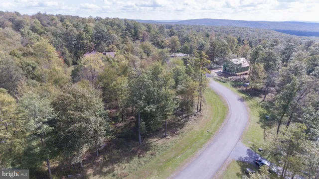 a view of a forest filled with trees