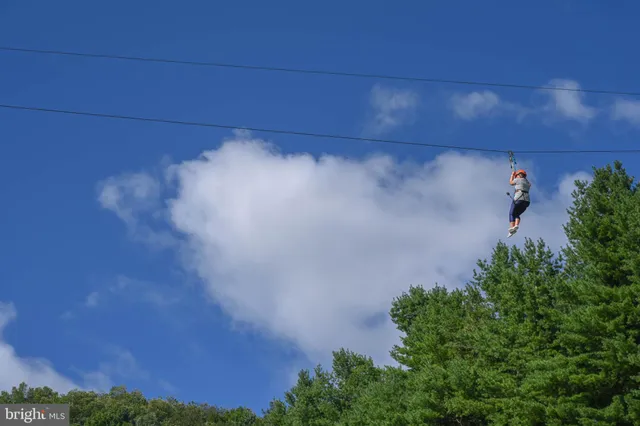 a view of park with plants