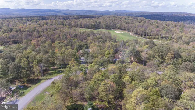 a view of a yard with an outdoor space
