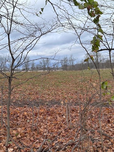 East Lockwood Road Coldwater, MI 49036 - Photo 2 of 2 IMG_3035
