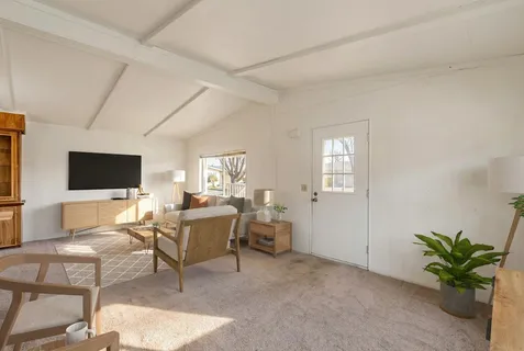 a living room with furniture a flat screen tv and a potted plant