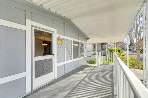 a view of a yard with plants and trees
