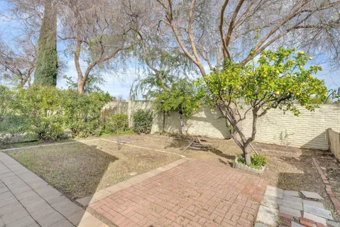 a view of a yard with plants and trees