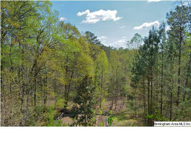 4625 Dolly Ridge Road Birmingham, AL 35243 - Photo 30 of 32