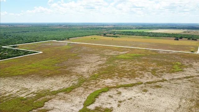 a view of an ocean and beach