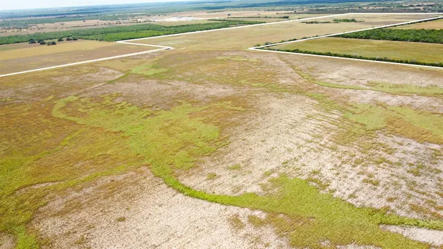 a view of beach and ocean