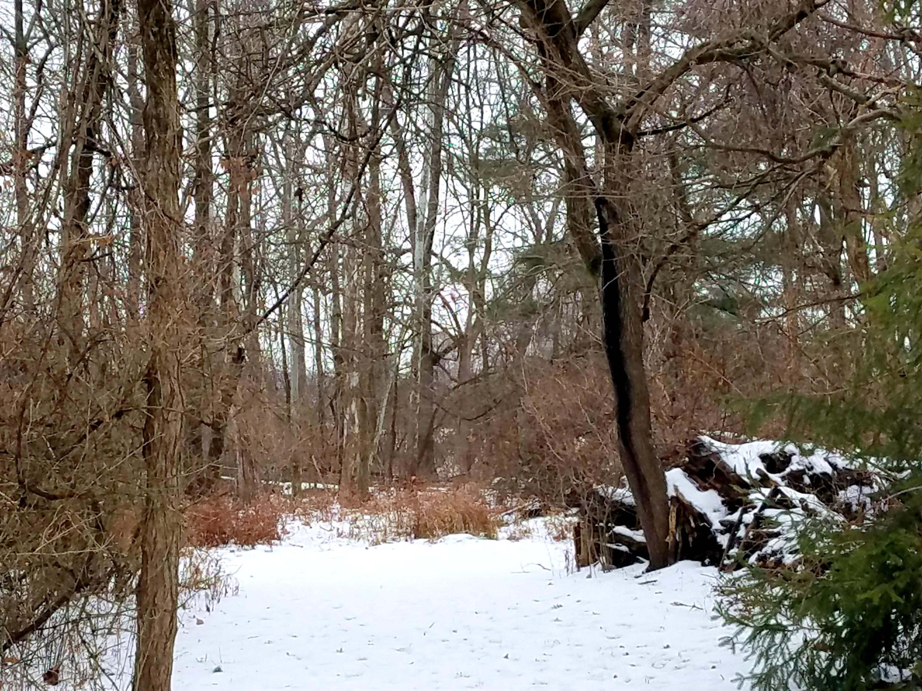 0 Palmer Road Southwest Reynoldsburg, OH 43068 - Photo 1 of 3