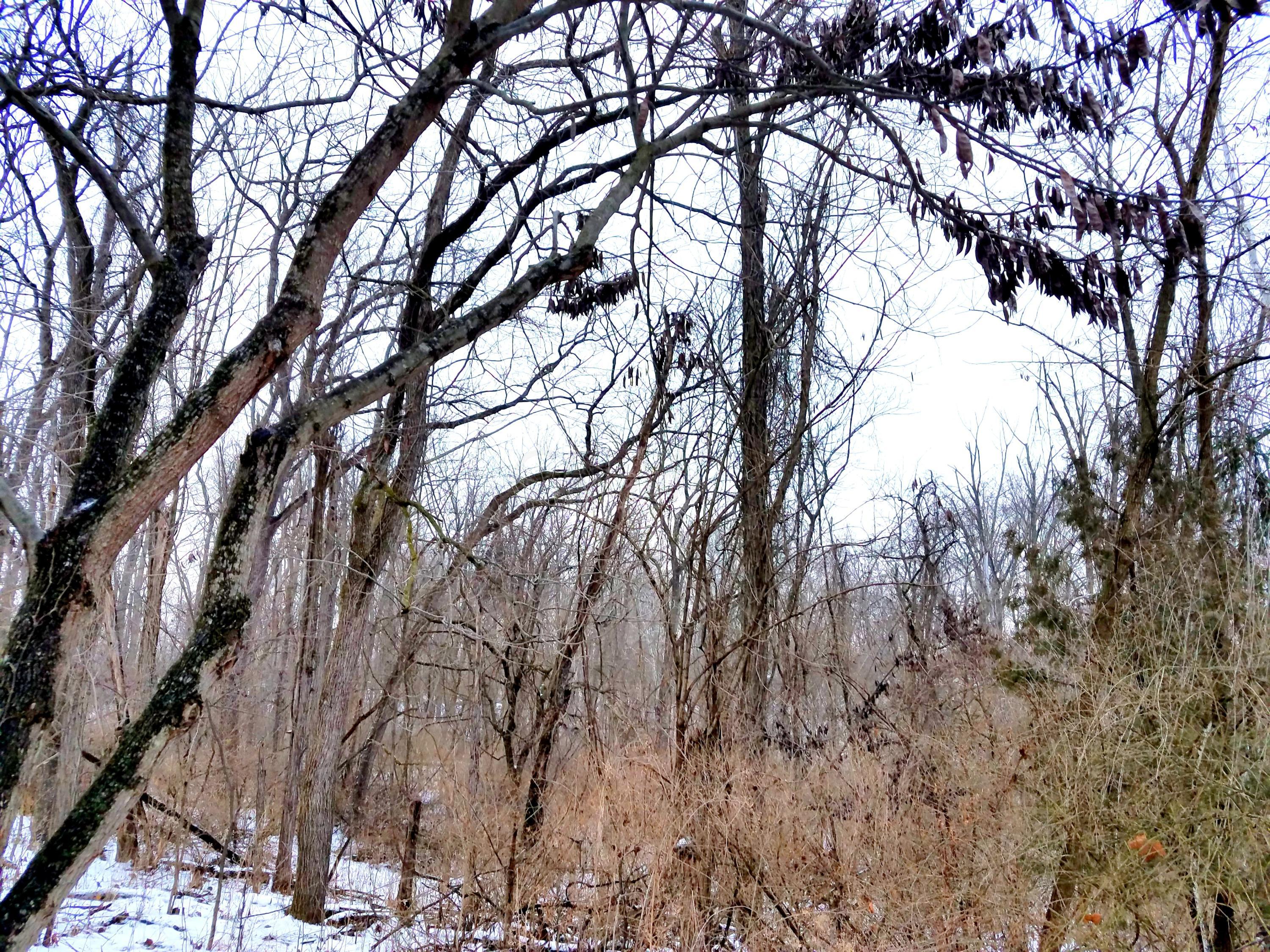 0 Palmer Road Southwest Reynoldsburg, OH 43068 - Photo 2 of 3