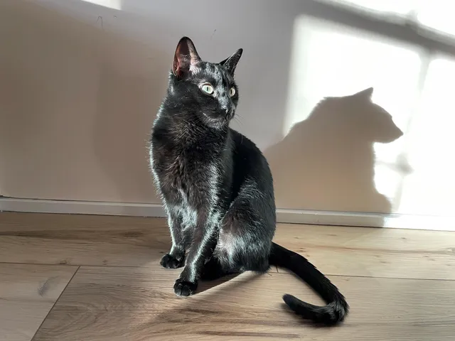 $1,899 | 83 Hanover Street, Unit 508, Manchester, NH 03101