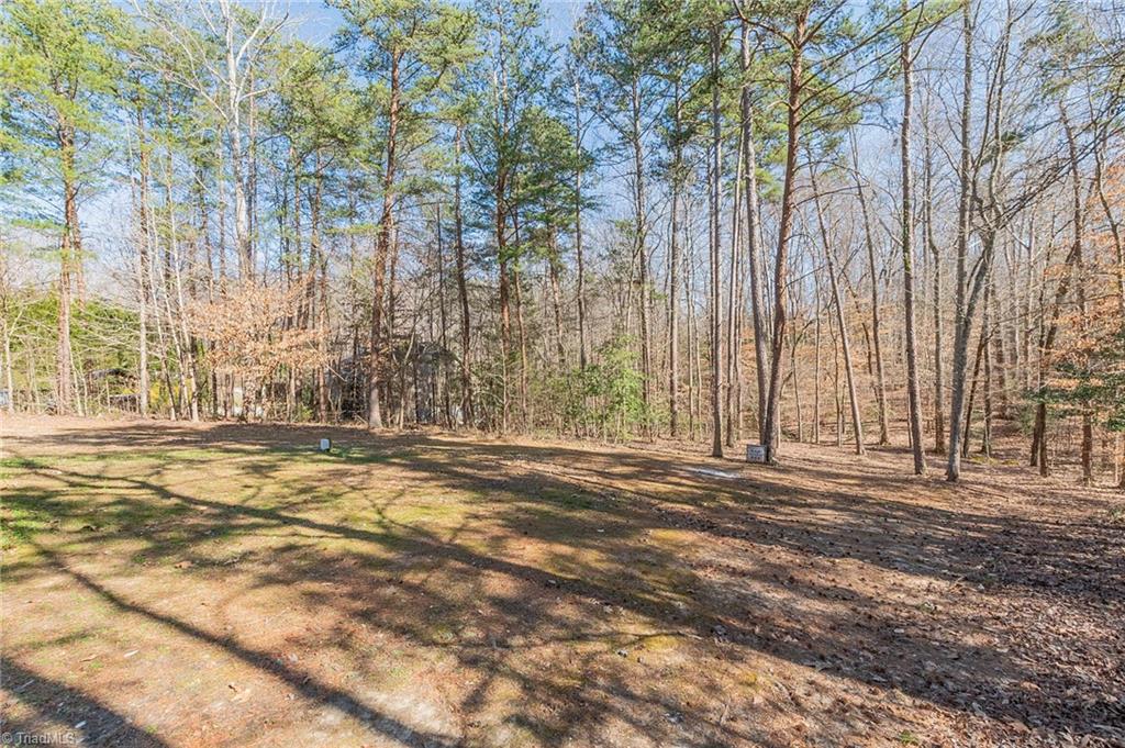 1241 Riverwood Road Lexington, NC 27292 - Photo 23 of 24