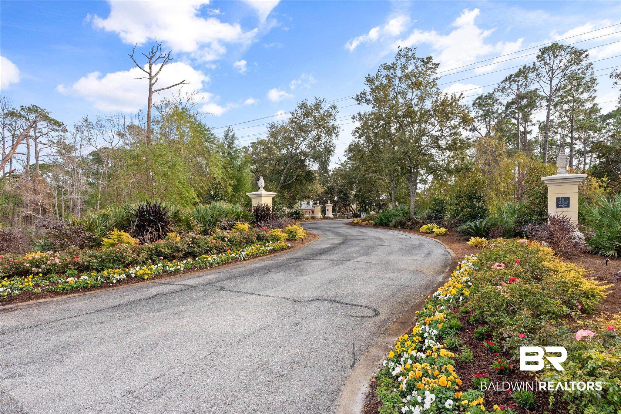 9259 Genipa Way Gulf Shores, AL 36542 - Photo 58 of 72 View of street