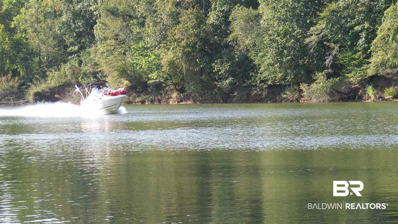 21 Jimmie Phillips Road Sawyerville, AL 36776 - Photo 3 of 41