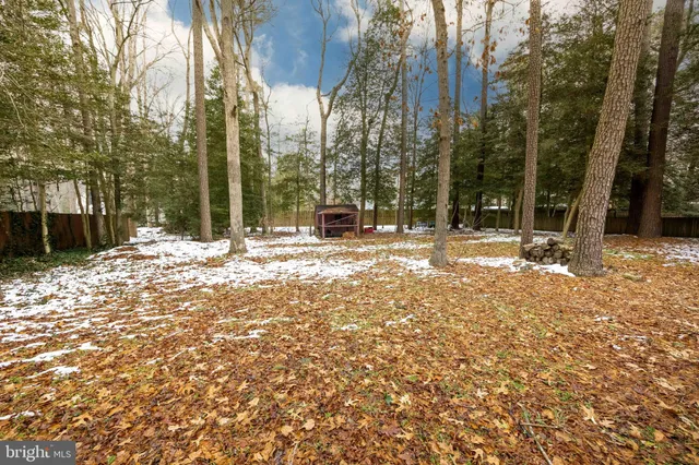 a view of road with large trees