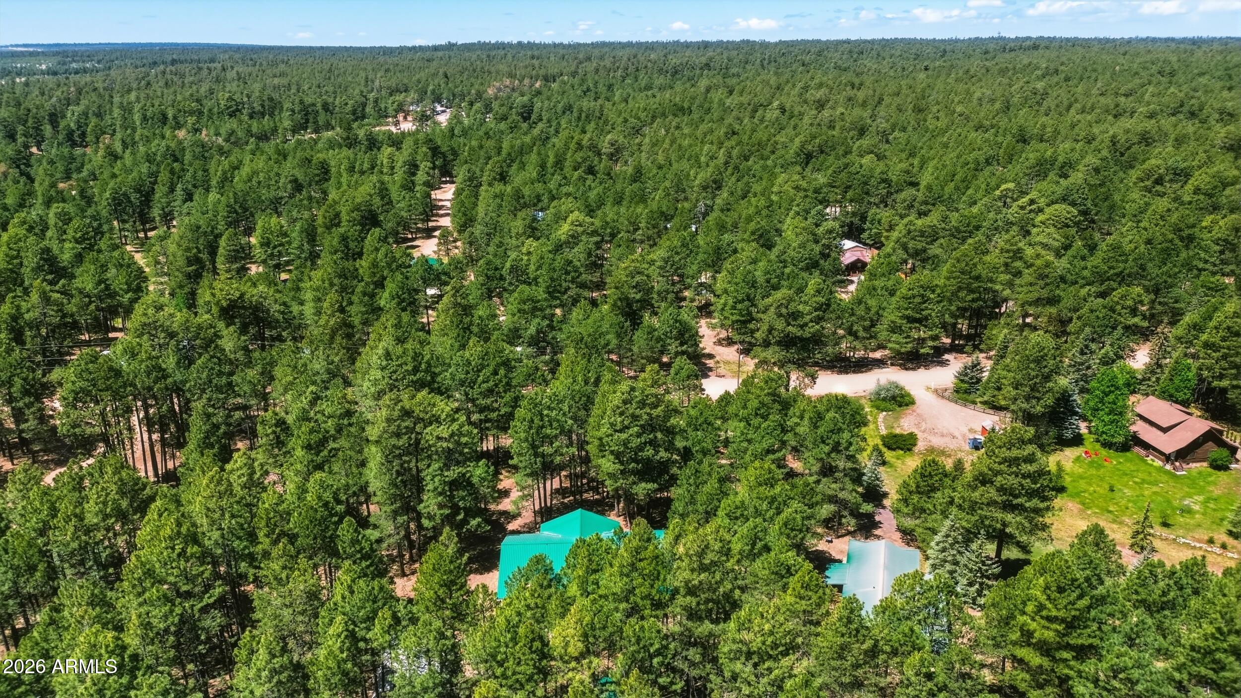 1233 Merzville Road Forest Lakes, AZ 85931 - Photo 36 of 42 Aerial A