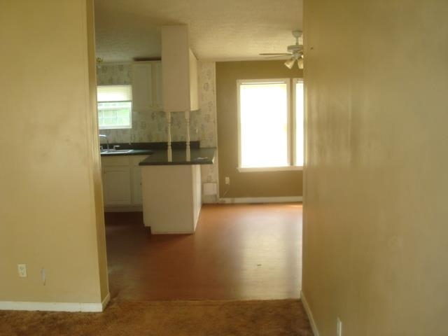 299 Setters Lane Donalds, SC 29638 - Photo 3 of 21