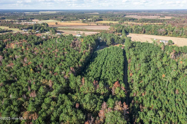 $60,000 | 700 Manley Smith Road, Nakina, NC 28455