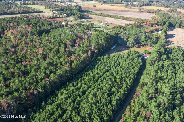 $60,000 | 700 Manley Smith Road, Nakina, NC 28455